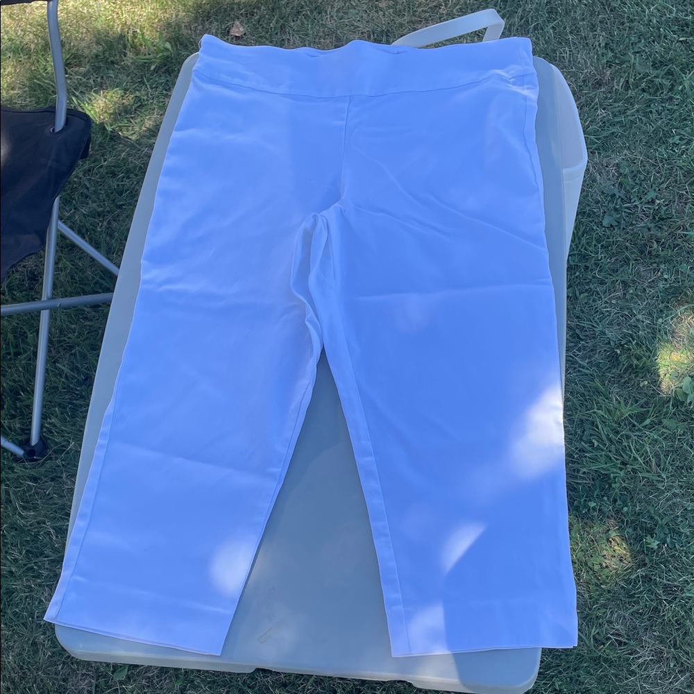 Patchington Classic White Pants - image 1